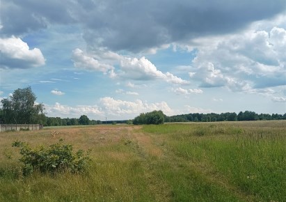 działka na sprzedaż - Ożarowice, Zendek