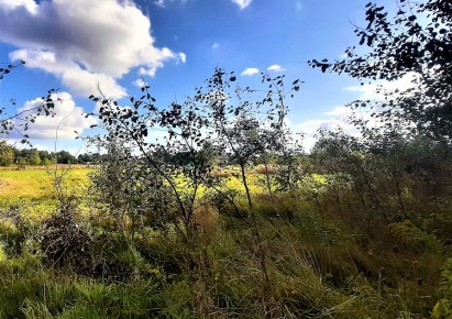 działka na sprzedaż - Tarnowskie Góry, Pniowiec